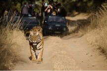 Gir Forest National Park Gujarat India Gir Forest National Park Gujarat India